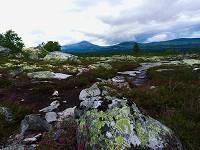 Engerdalen Elgspiggen omr&aring;de