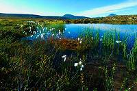 Engerdalen Elgspiggen omr&aring;de