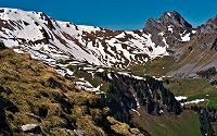 Oeschinensee Hohniese