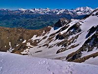 Oeschinensee Hohniese